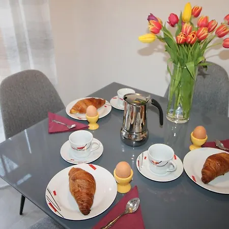 Irina Apartman *